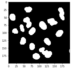 Semantic segmentation with Otsu's method