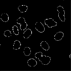 Difference between our manual thresholding and Otsu's thresholding