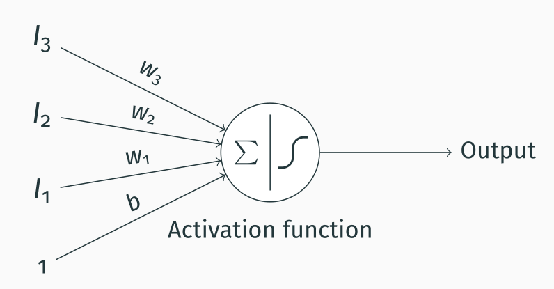 A schematic of a perceptron. This is similar to an MP neuron, but it introduces a bias and replaces the threshold with an activation function.